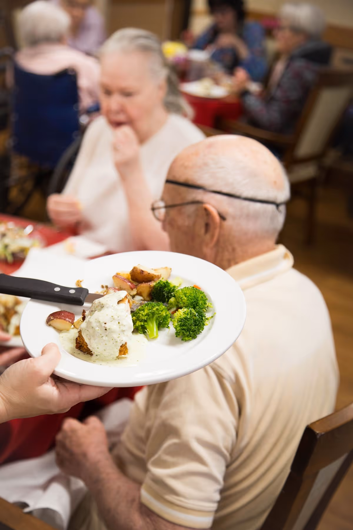 A close-up of a plate of food being served to an elderly man seated at a dining table in a communal dining area. The plate contains broccoli, roasted potatoes, and a piece of meat with white sauce. Other elderly people are seated and eating in the background.