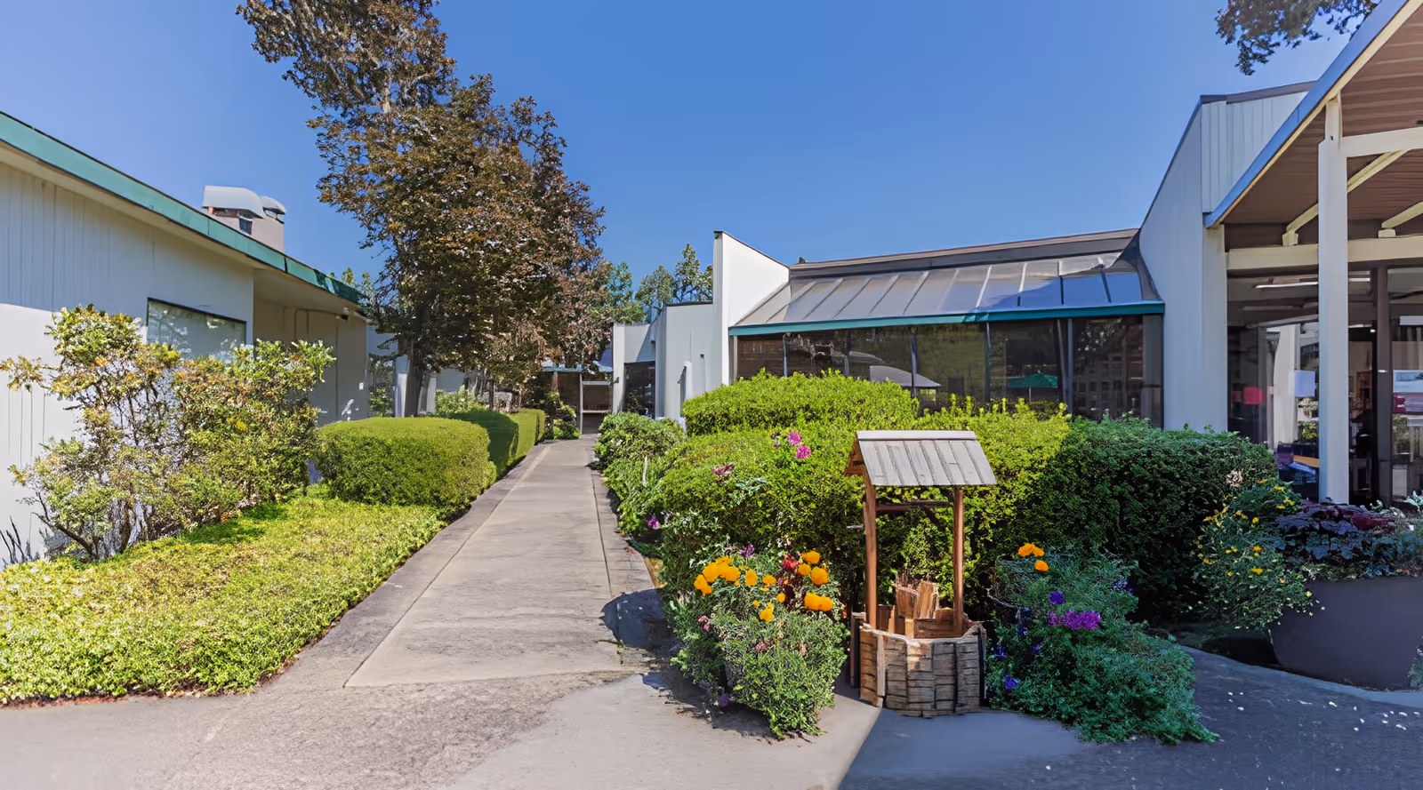 Concrete walkway lined with shrubs and flowers leading toward the exterior of a nursing and rehabilitation building under a clear blue sky.