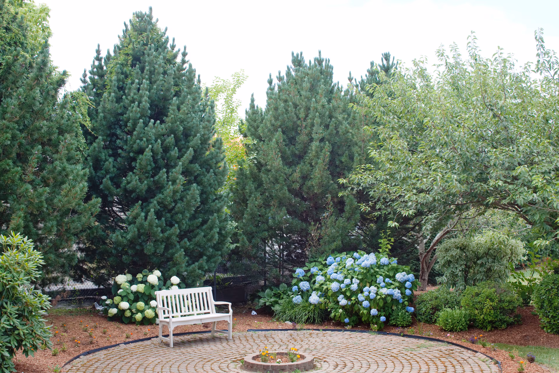 A peaceful outdoor garden area with a white bench placed on a circular paved area surrounded by green trees, bushes, and blooming hydrangea flowers in white and blue.
