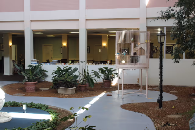 Indoor courtyard area with a curved light blue pathway surrounded by mulch and various potted plants. A tall birdcage with birds inside stands on the pathway next to a black lamp post. The background shows an interior space with tables, chairs, and soft lighting.