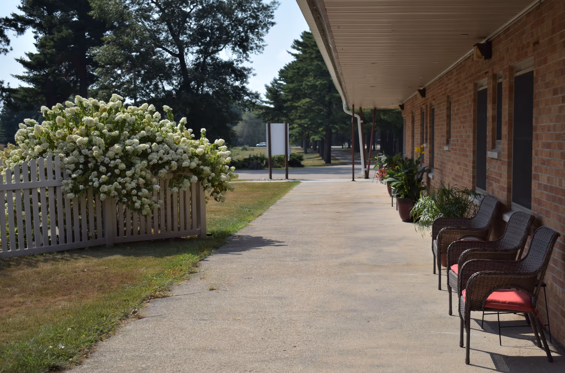 A paved walkway alongside a brick building with several wicker chairs with red cushions and potted plants. On the left side, there is a white picket fence with a large bush of white flowers and trees in the background under a clear sky.