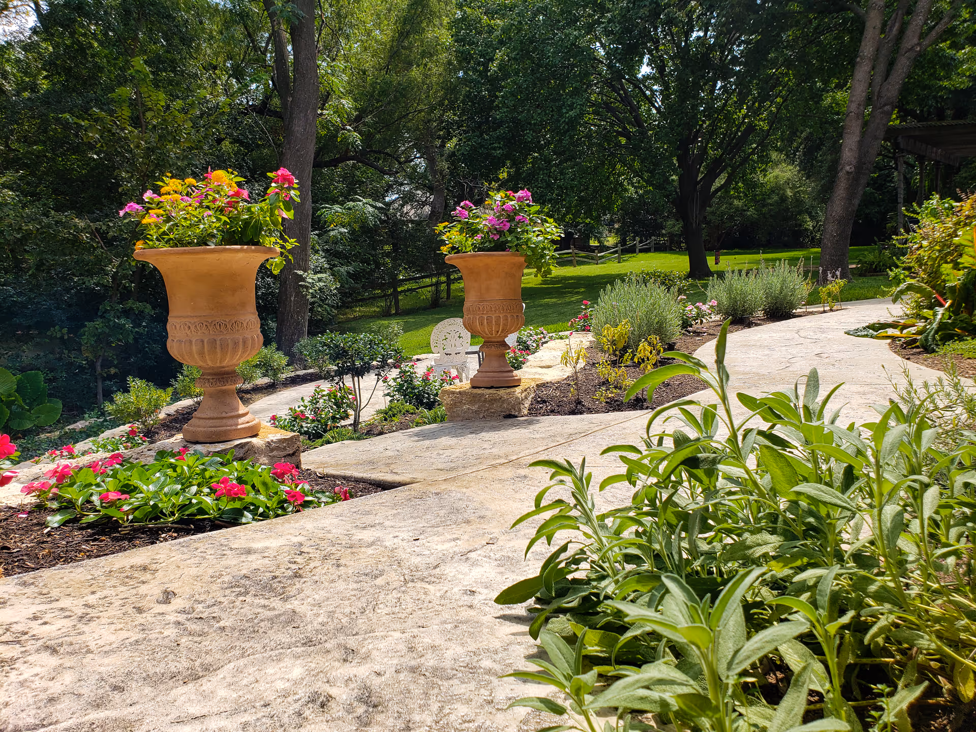 A sunny outdoor garden path lined with green plants and colorful flowers in large terracotta pots. Trees and a grassy lawn are visible in the background.