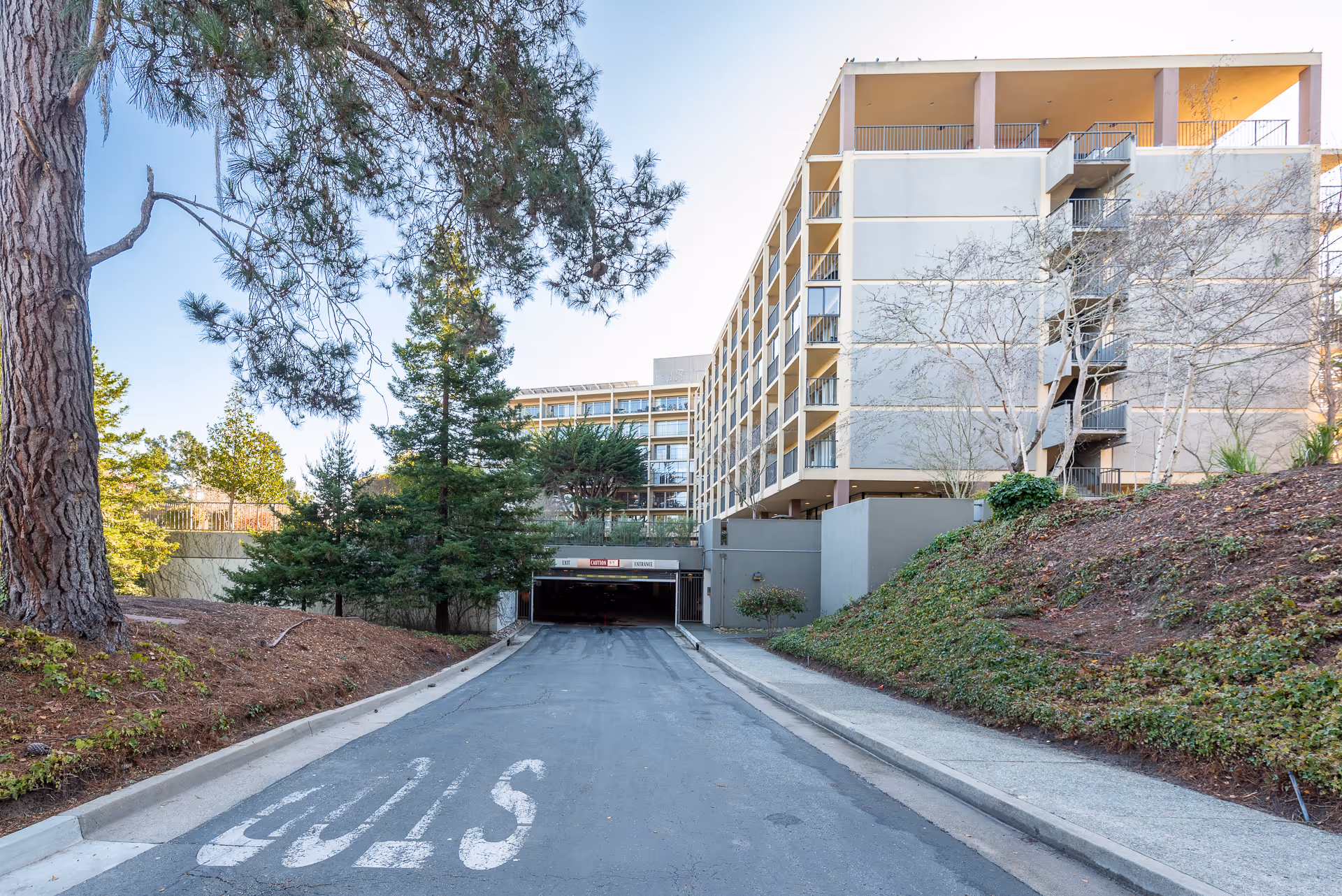 View of a driveway leading to an underground parking entrance of a multi-story building with balconies. The building is surrounded by trees and landscaped areas with a sidewalk on the right side. The word STOP is painted on the driveway.