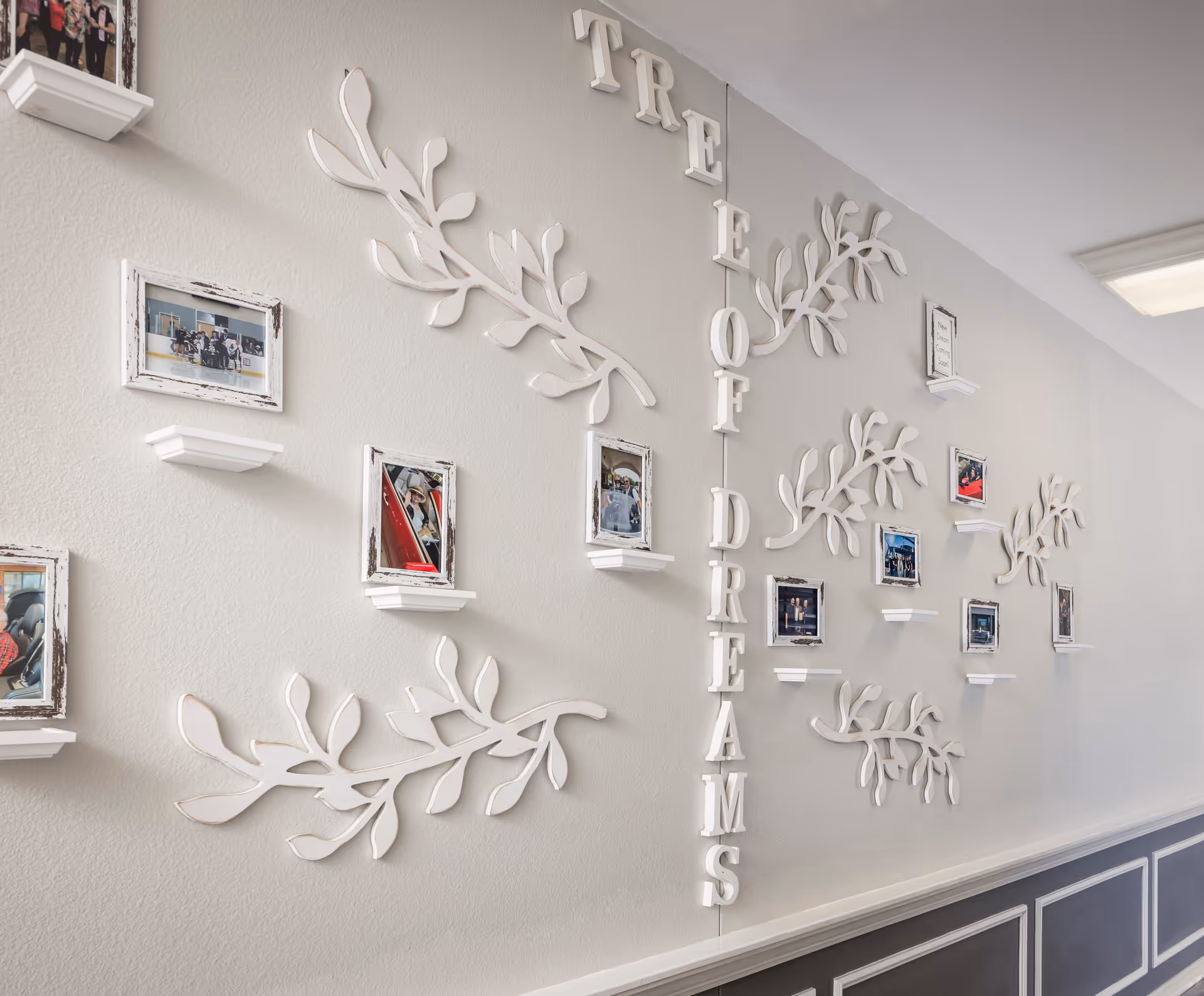 A hallway wall decorated with white wooden letters spelling 'TREE OF DREAMS' vertically, surrounded by white decorative branches and small white shelves holding framed photographs.