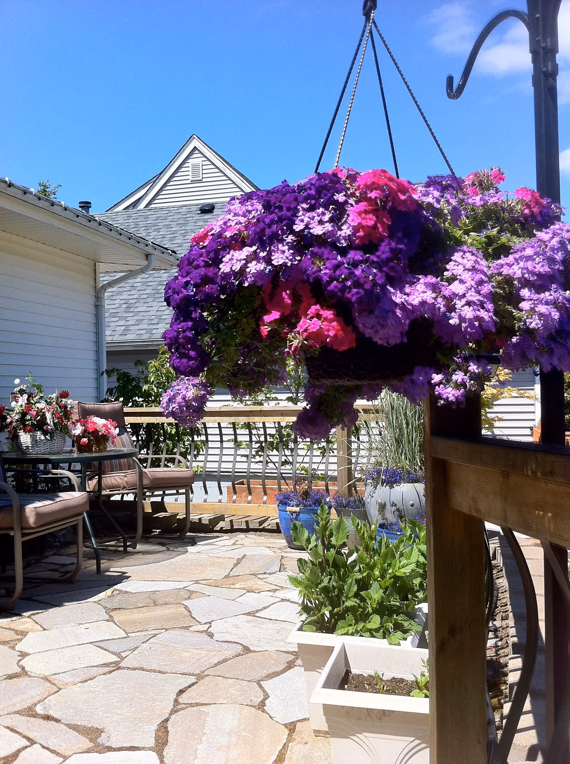 Sunny outdoor patio with a large hanging basket of purple and pink flowers, potted plants, and patio seating by a house.