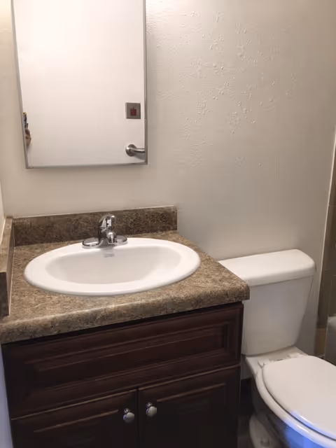 Small bathroom featuring a vanity with sink and mirror next to a toilet.