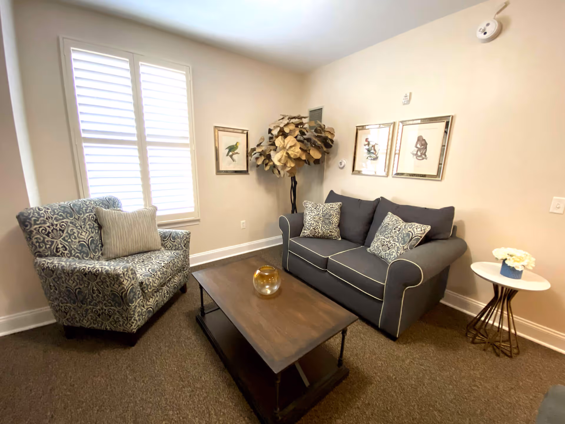 A cozy living room with a patterned armchair and a dark gray sofa adorned with decorative pillows. A wooden coffee table with a glass bowl sits in the center. The walls are light-colored with framed artwork and a large artificial plant in the corner. A small round side table with a flower arrangement is next to the sofa. The room has a window with white shutters allowing natural light to enter.