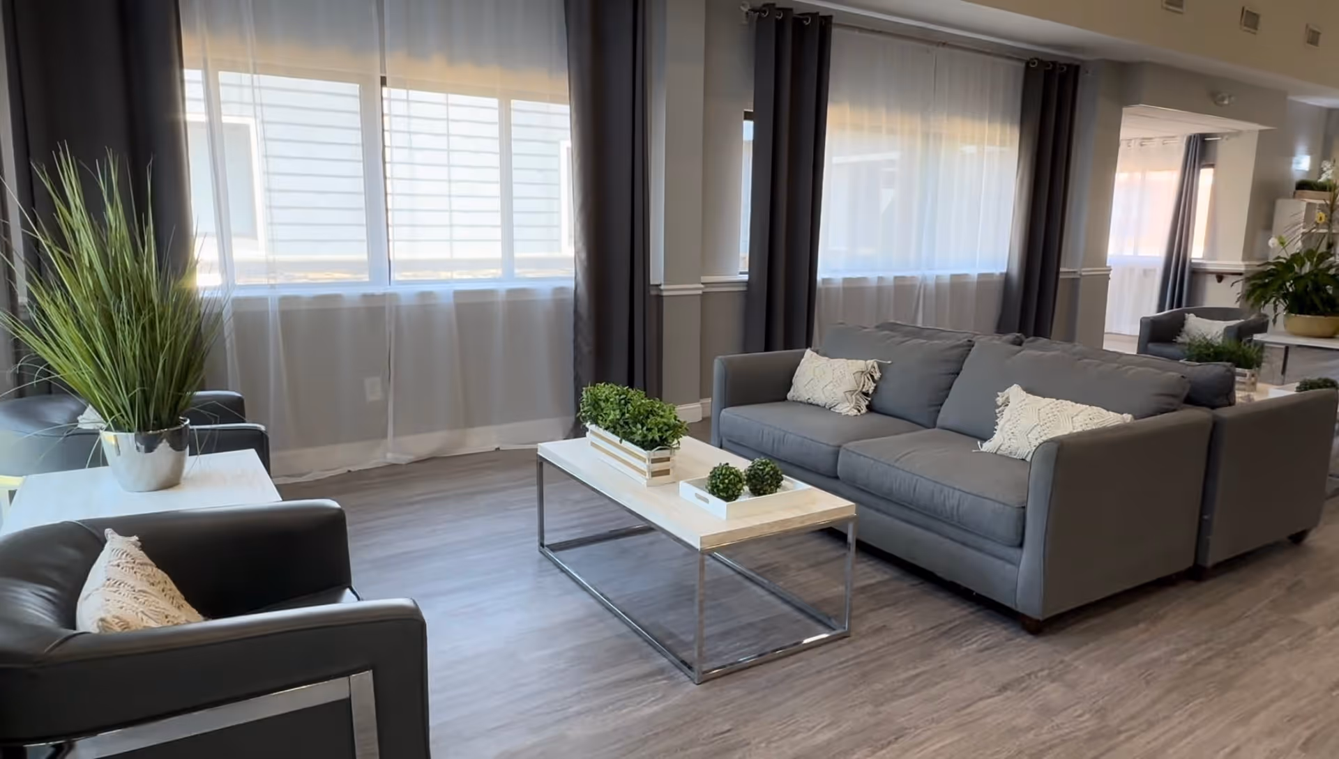 A modern living room with a gray sofa and matching armchairs, decorated with white pillows and green plants on a wooden coffee table. Large windows with sheer white curtains and dark drapes allow natural light to fill the space. The room has light wood flooring and neutral-colored walls.