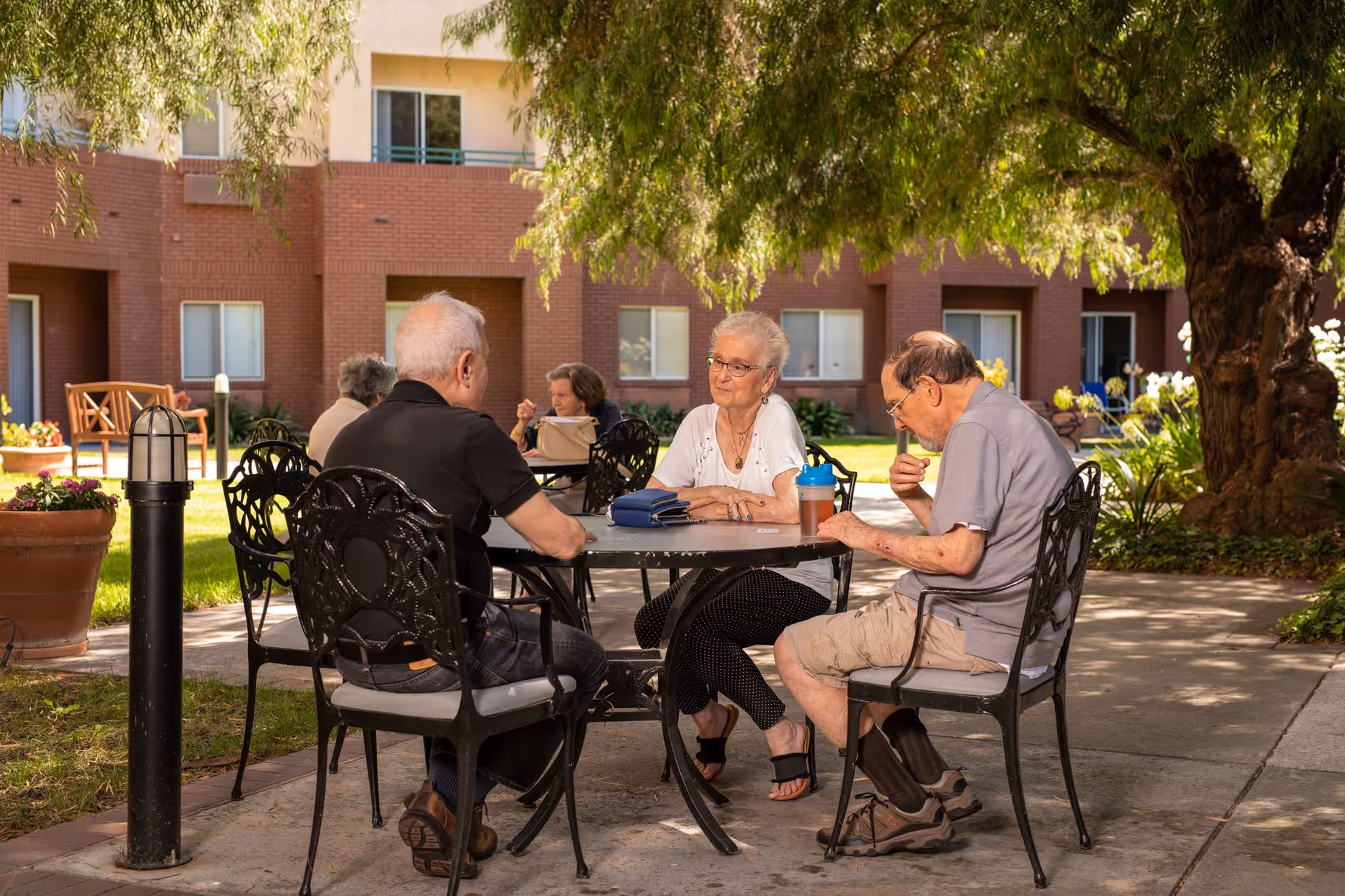 Three elderly people sitting at a round metal table outdoors under a tree, engaged in conversation. They are in a courtyard area with a brick building and windows in the background, along with some potted plants and benches.