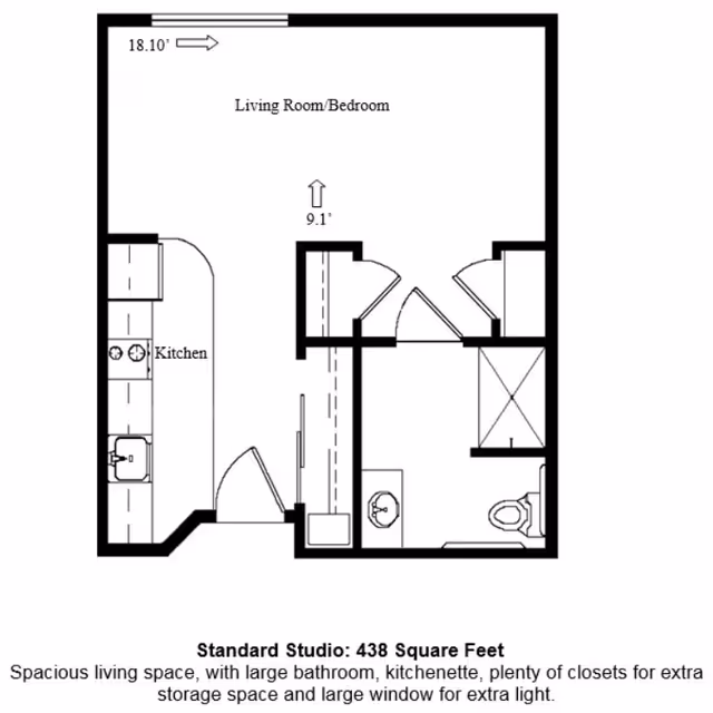 Architectural floor plan of a standard studio apartment with 438 square feet, showing a combined living room and bedroom area, a kitchenette, a large bathroom, and multiple closets for storage.