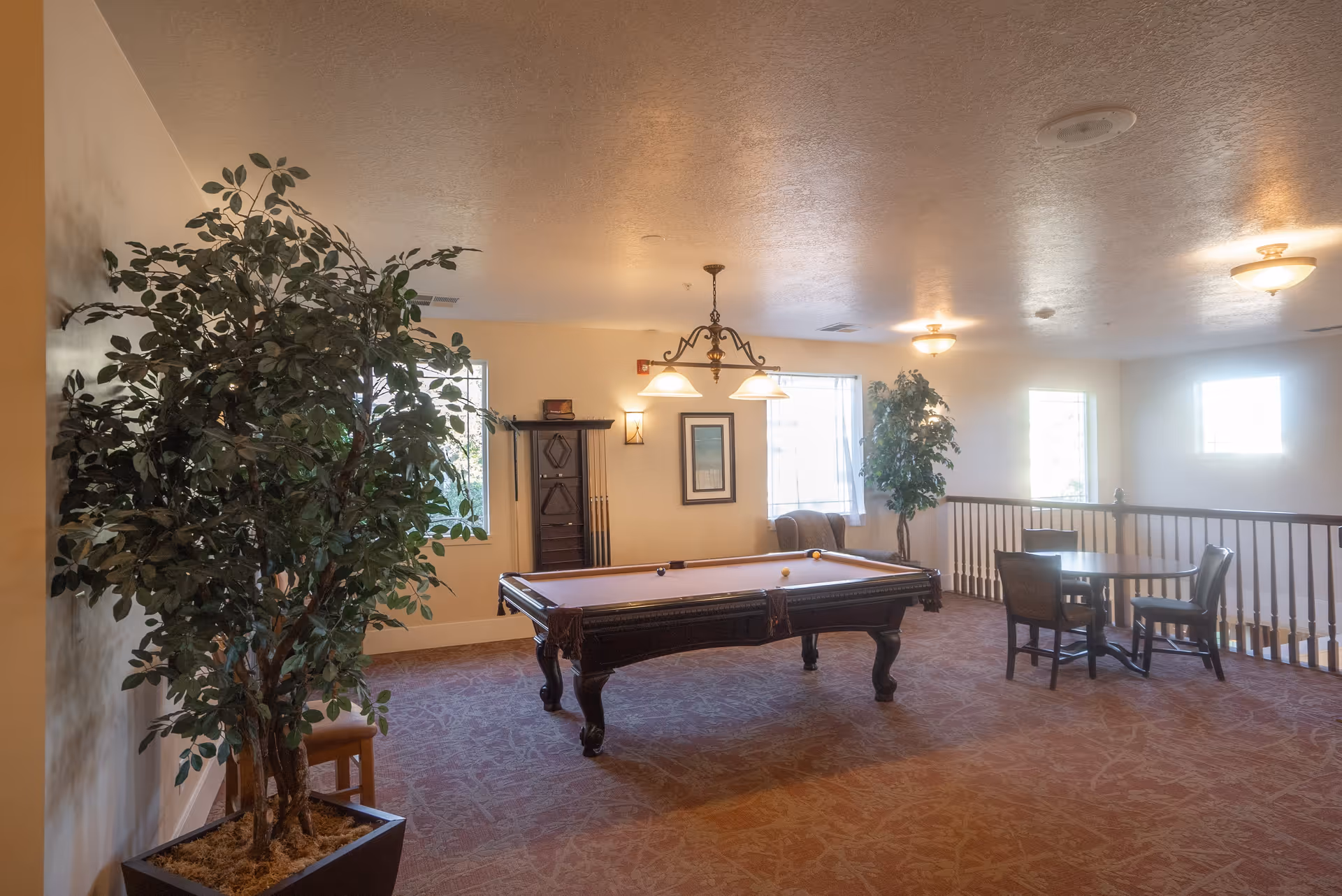 A well-lit recreational room with a pool table in the center, a rack holding pool cues against the wall, a small round table with four chairs, two large potted plants, and windows letting in natural light.