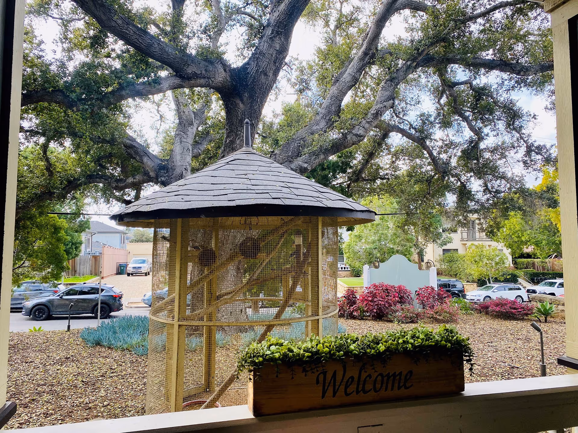 View from a porch or patio area overlooking a garden with a large tree and a wooden gazebo-like structure covered with mesh. In the foreground, there is a wooden planter box with green plants and the word 'Welcome' written on it. Several cars and houses are visible in the background.