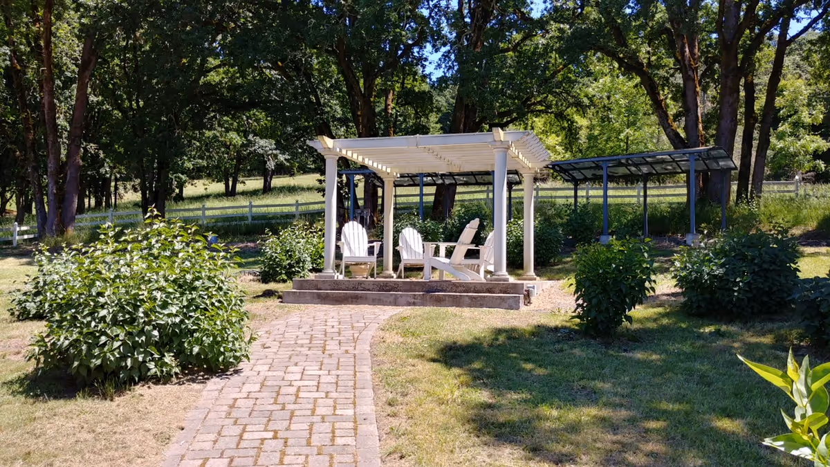A peaceful outdoor garden area with a paved walkway leading to a white pergola structure. Under the pergola, there are four white Adirondack chairs arranged in a circle. The surrounding area has green bushes, grass, and tall trees providing shade.