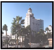 Tall white building with a tower and palm trees in the foreground under a clear blue sky.