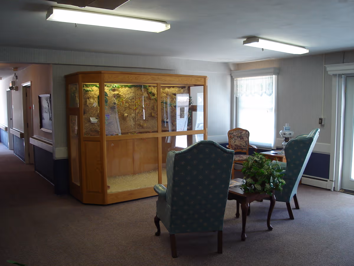 A quiet sitting area in a senior living facility with two upholstered armchairs and a wooden chair arranged around a small wooden table with a potted plant. Behind the seating area is a large wooden display case with a glass front, possibly an aquarium or terrarium. The room has carpeted floors, fluorescent ceiling lights, and windows with white curtains letting in natural light.