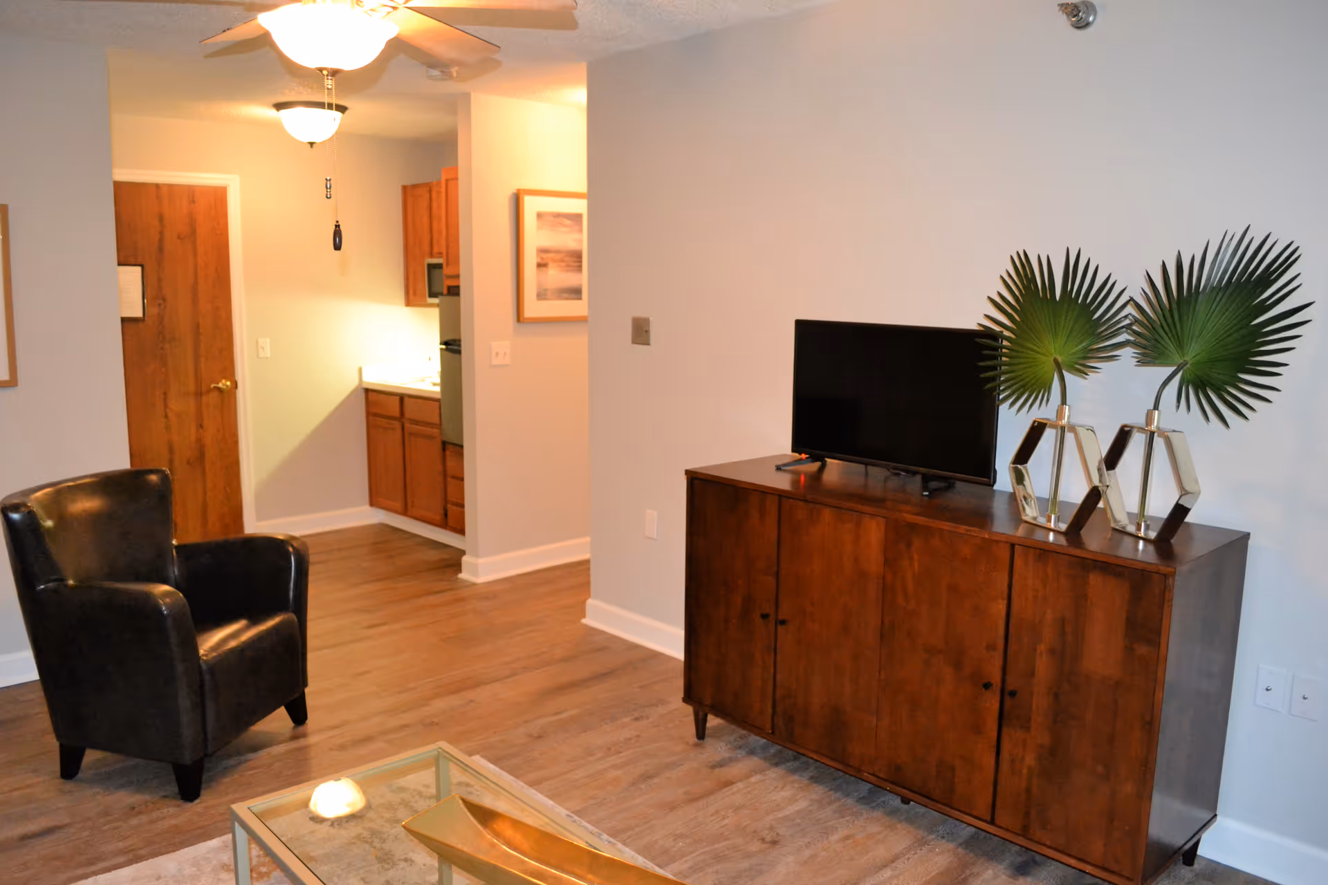 A cozy living room area with a black leather armchair, a wooden cabinet with a flat-screen TV on top, and two decorative vases with green palm leaves. In the background, there is a small kitchen area with wooden cabinets and a door, illuminated by ceiling lights and a ceiling fan.