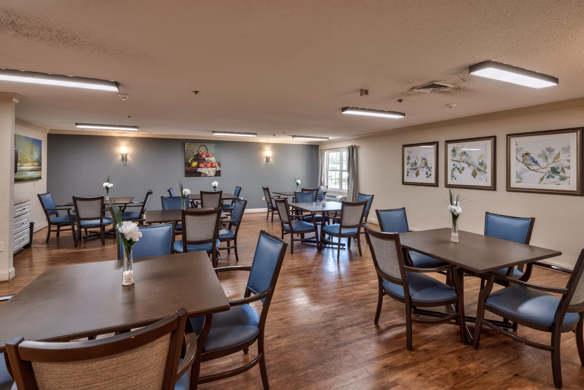 A dining room with multiple dark wood tables and blue cushioned chairs arranged neatly on a wooden floor. Each table has a small vase with white flowers. The walls are decorated with framed paintings of birds and a still life of fruit. The room is well-lit with ceiling lights and natural light coming through a window with curtains.