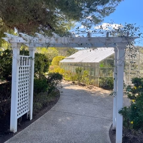 A sunlit garden path with a white wooden pergola leading past shrubs toward a glass greenhouse.