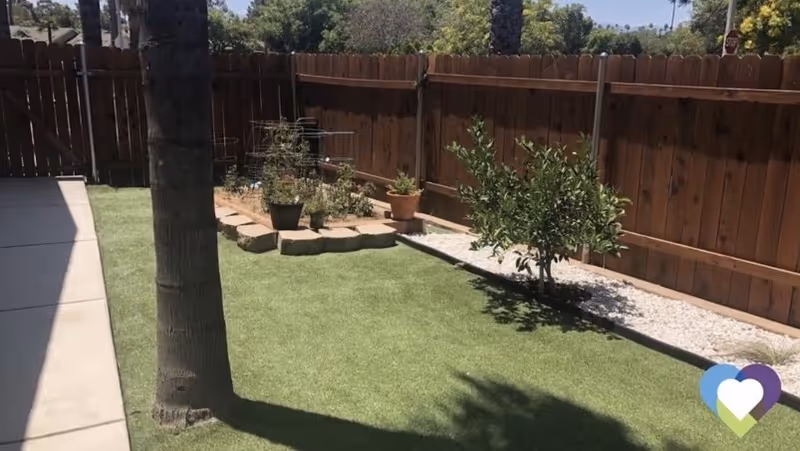 A small outdoor garden area with a wooden fence, a palm tree, a few potted plants, and a small tree planted in a bed of white gravel. There is a concrete walkway on the left side and green grass covering the ground.