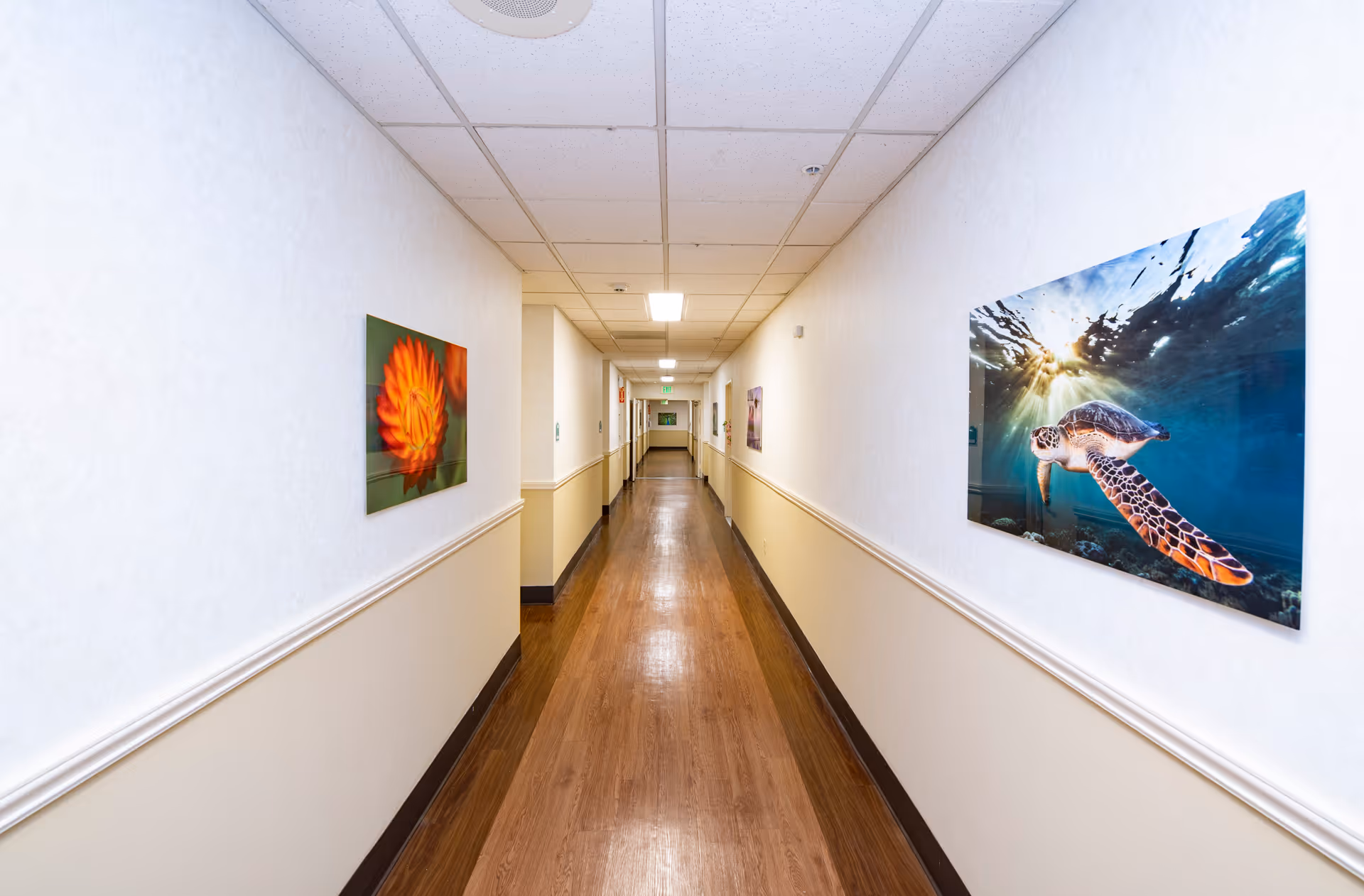 Long, well-lit interior hallway with wood flooring and nature-themed artwork on the walls.