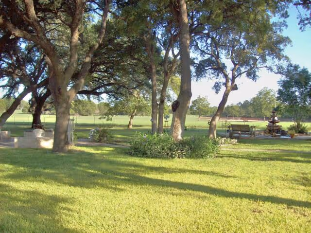 Sunlit grassy lawn with large trees, benches, and a small fountain in the background.