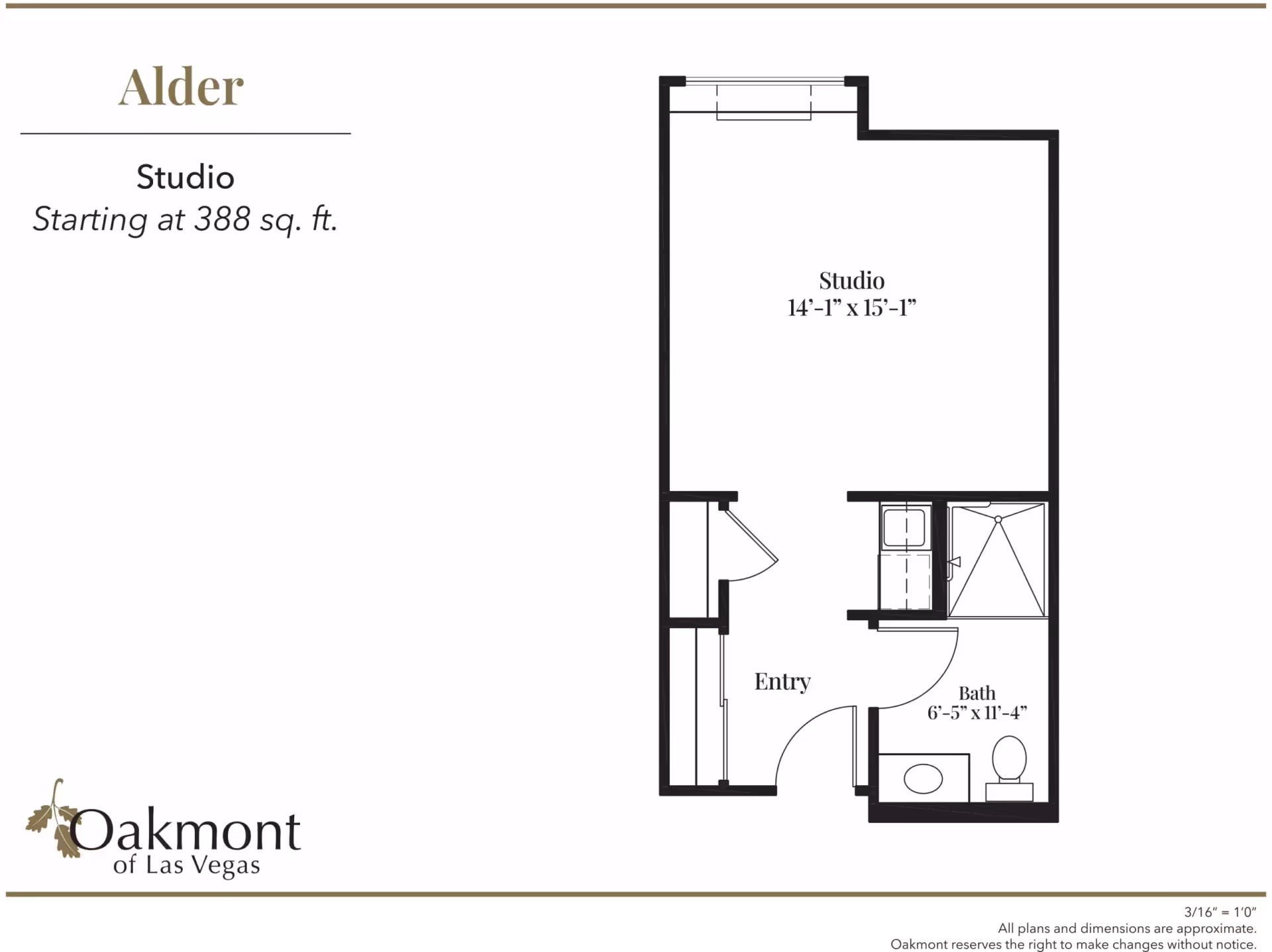 Floor plan of a studio apartment named Alder at Oakmont of Las Vegas, starting at 388 square feet. The layout includes a studio area measuring 14 feet 1 inch by 15 feet 1 inch, an entryway, and a bathroom measuring 6 feet 5 inches by 11 feet 4 inches with a shower, toilet, and sink.