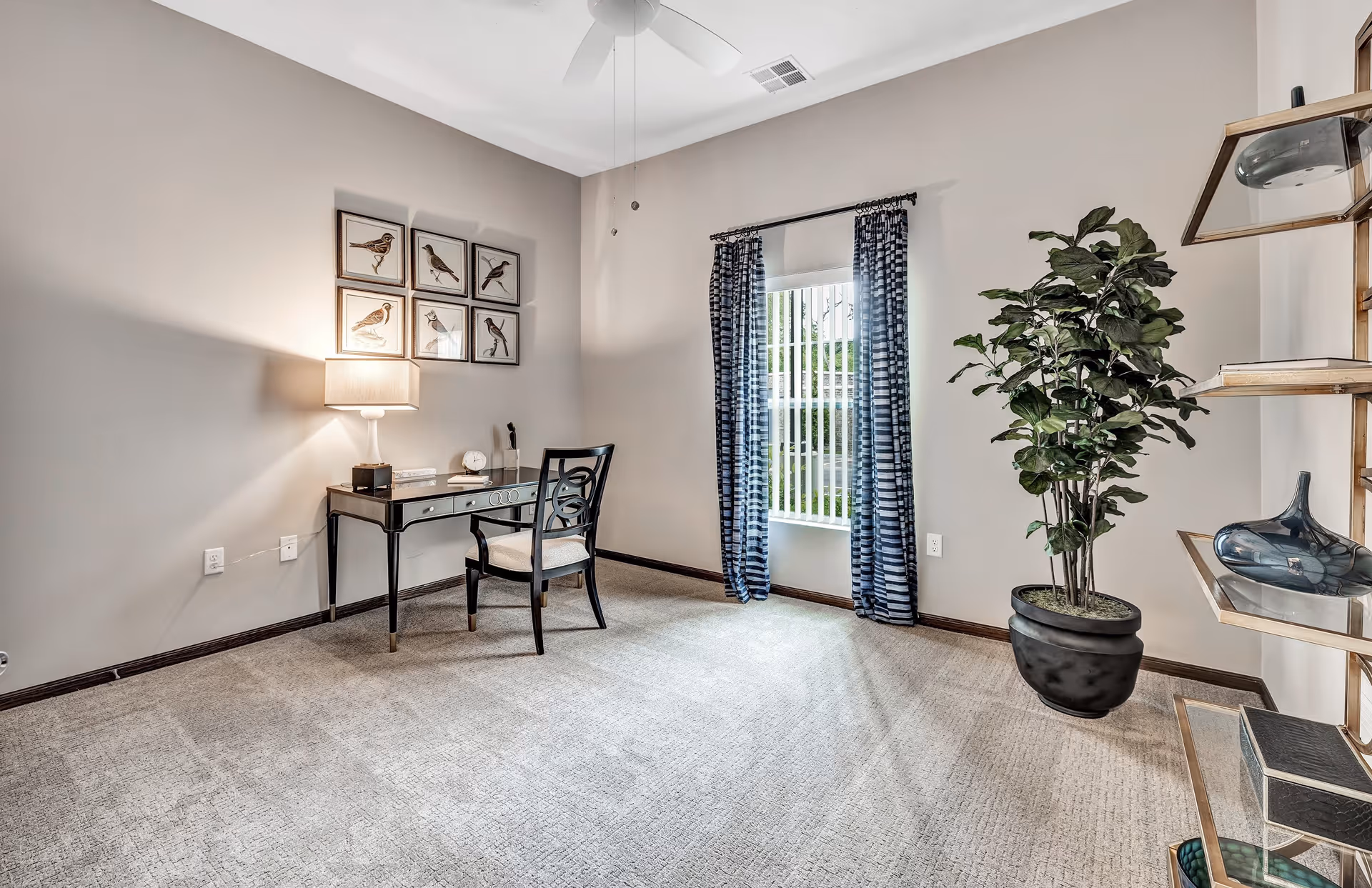 A bright room with beige walls and carpeted floor featuring a small black desk with a lamp, books, and a clock on it. A black chair with a cushioned seat is placed in front of the desk. On the wall above the desk are six framed pictures of birds. A window with vertical blinds and blue patterned curtains lets in natural light. To the right, there is a tall potted plant and a shelving unit with decorative items.