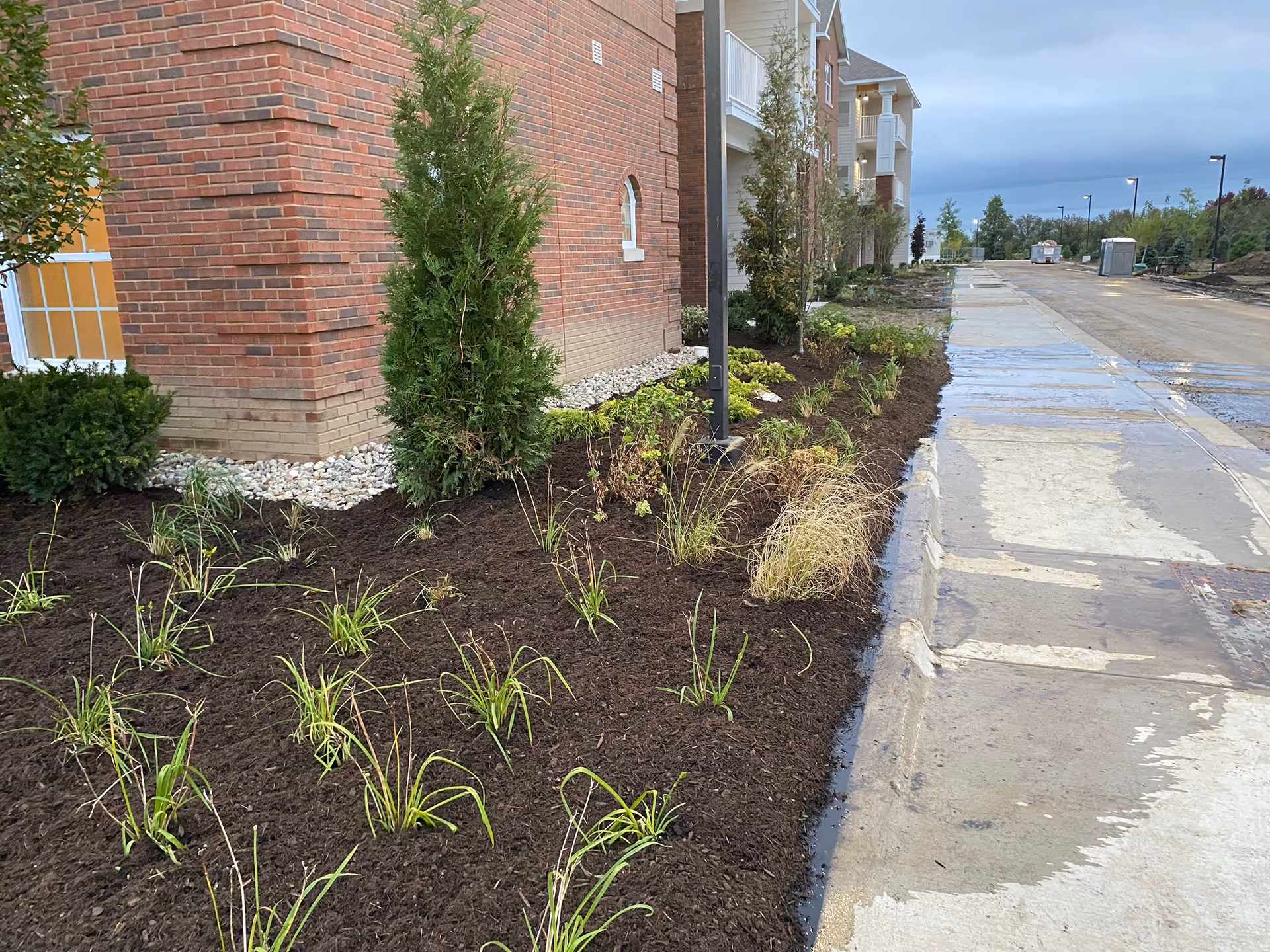 Landscaped mulch bed with young plants and evergreens beside a brick residential building and a wet sidewalk.