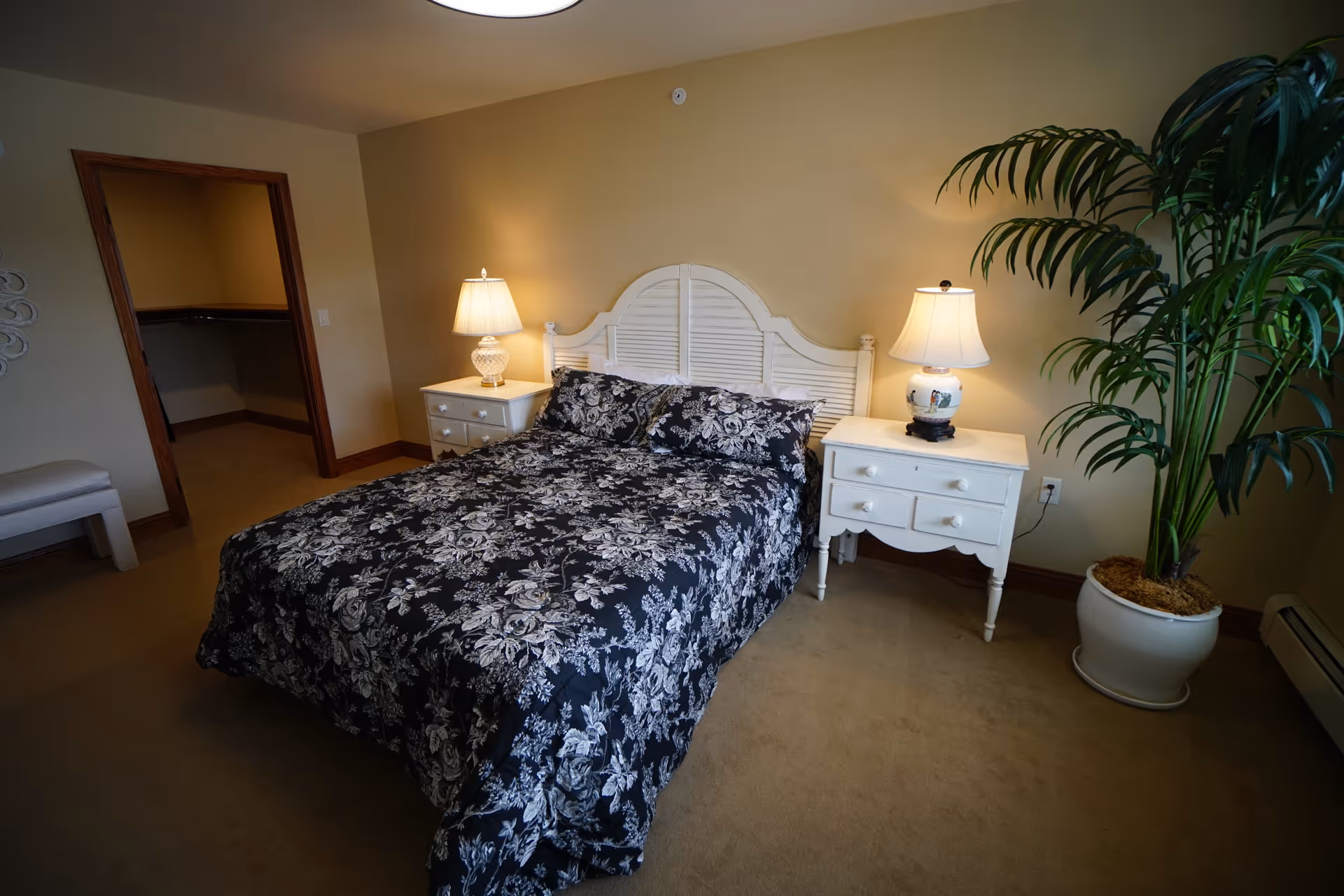 A cozy bedroom with a bed covered in black-and-white floral bedding, two white nightstands with lamps, and a large potted plant.