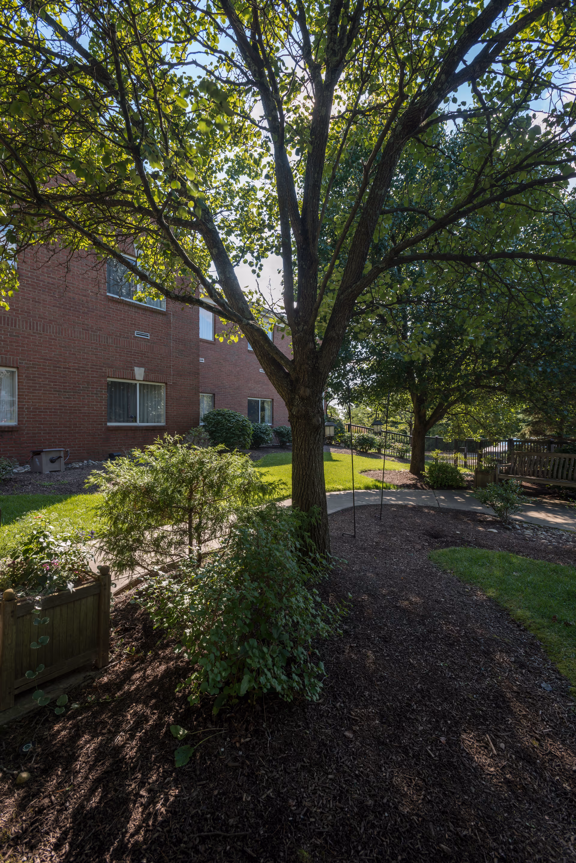 A shaded outdoor garden area with a large tree in the center, surrounded by bushes and a mulched pathway. A brick building with several windows is visible in the background, along with a wooden bench and a metal fence further back.