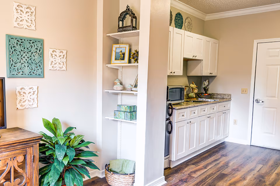 Small open-plan living area with a kitchenette featuring white cabinets and granite counters, decorative wall art, shelving, and a potted plant.