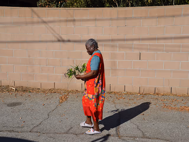 An elderly woman wearing a red floral dress and light blue shirt is walking outside on a paved surface near a beige brick wall, holding some green plants in her hands.
