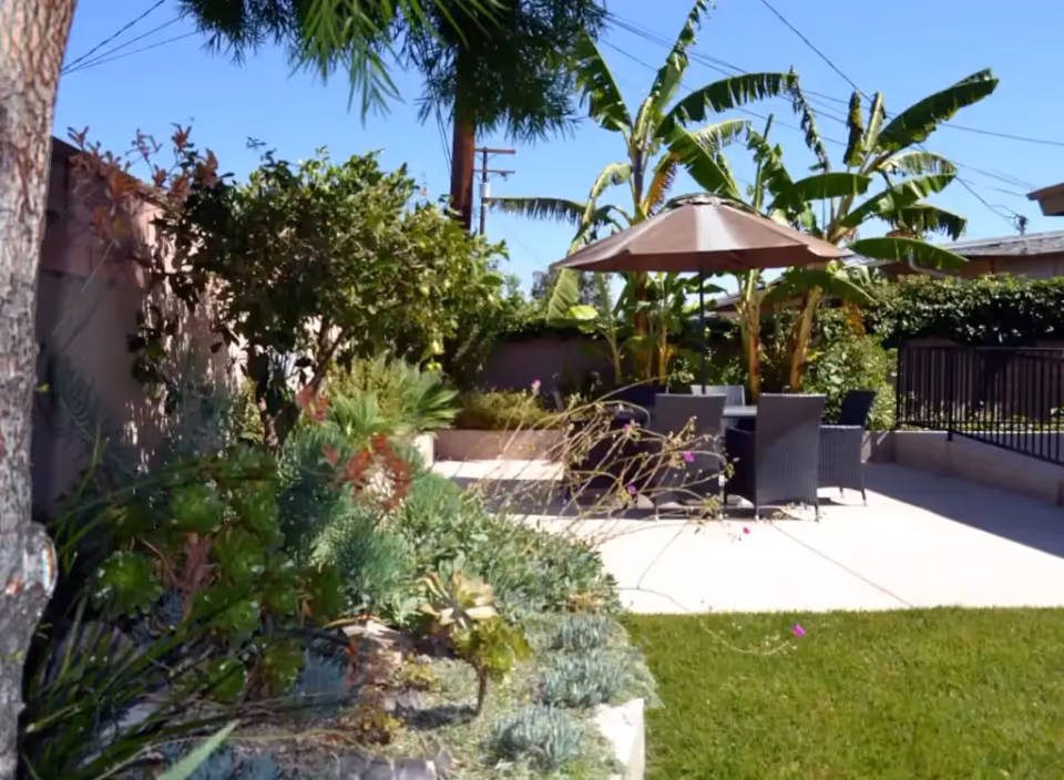 Outdoor patio area with a round table and several chairs under a large umbrella, surrounded by lush green plants and trees including banana plants, with a clear blue sky overhead.