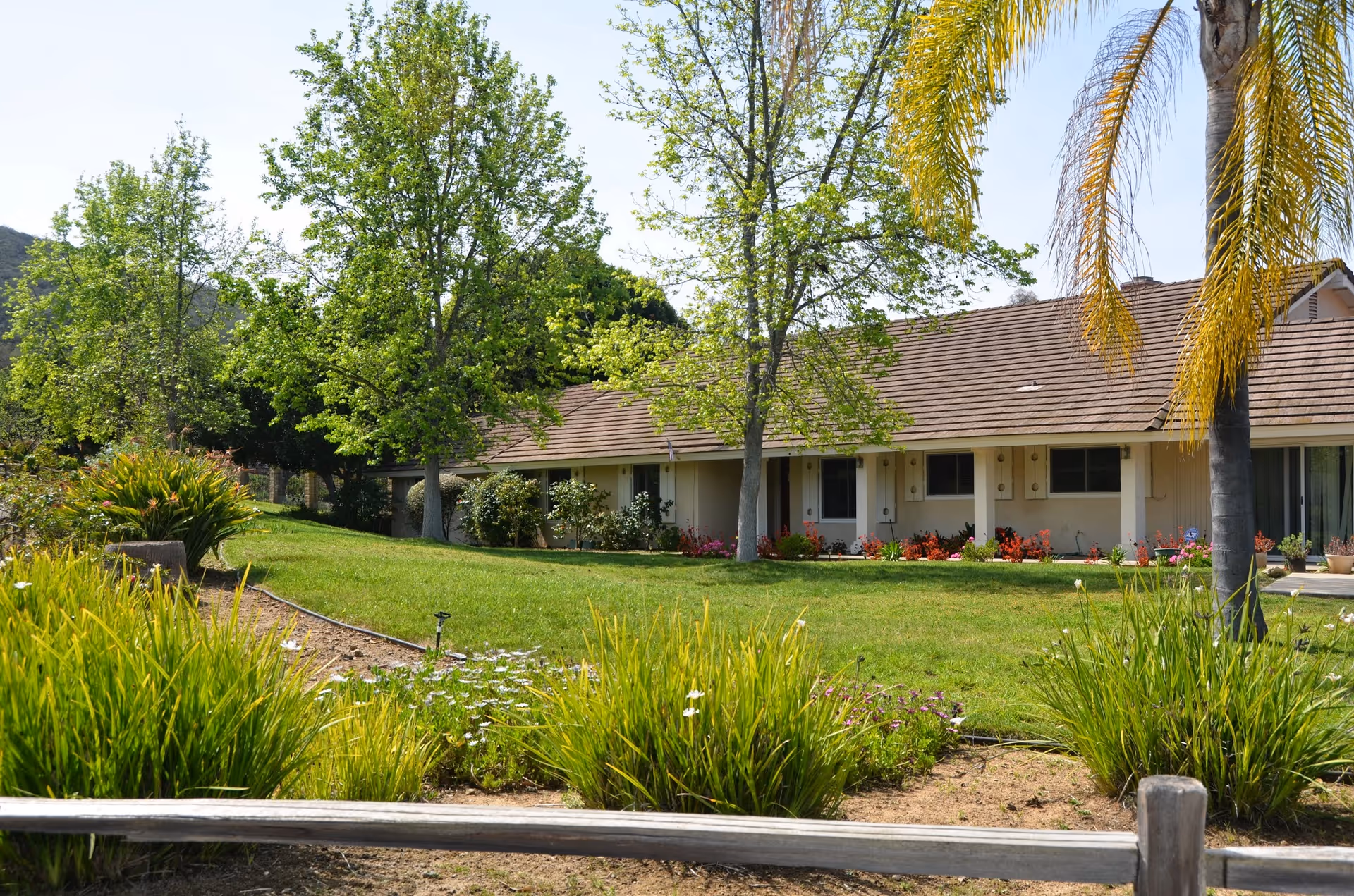 A single-story building with a brown tiled roof surrounded by green grass, trees, and various plants under a clear blue sky.
