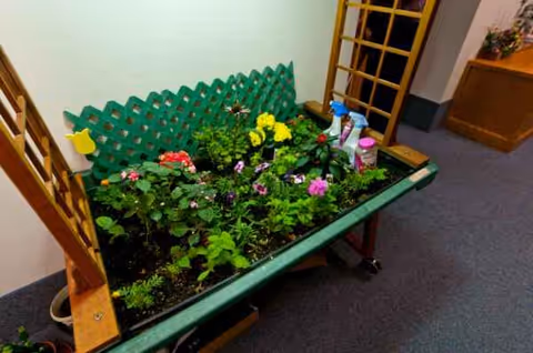 Indoor hallway planter on a wheeled cart with colorful flowers and gardening supplies.