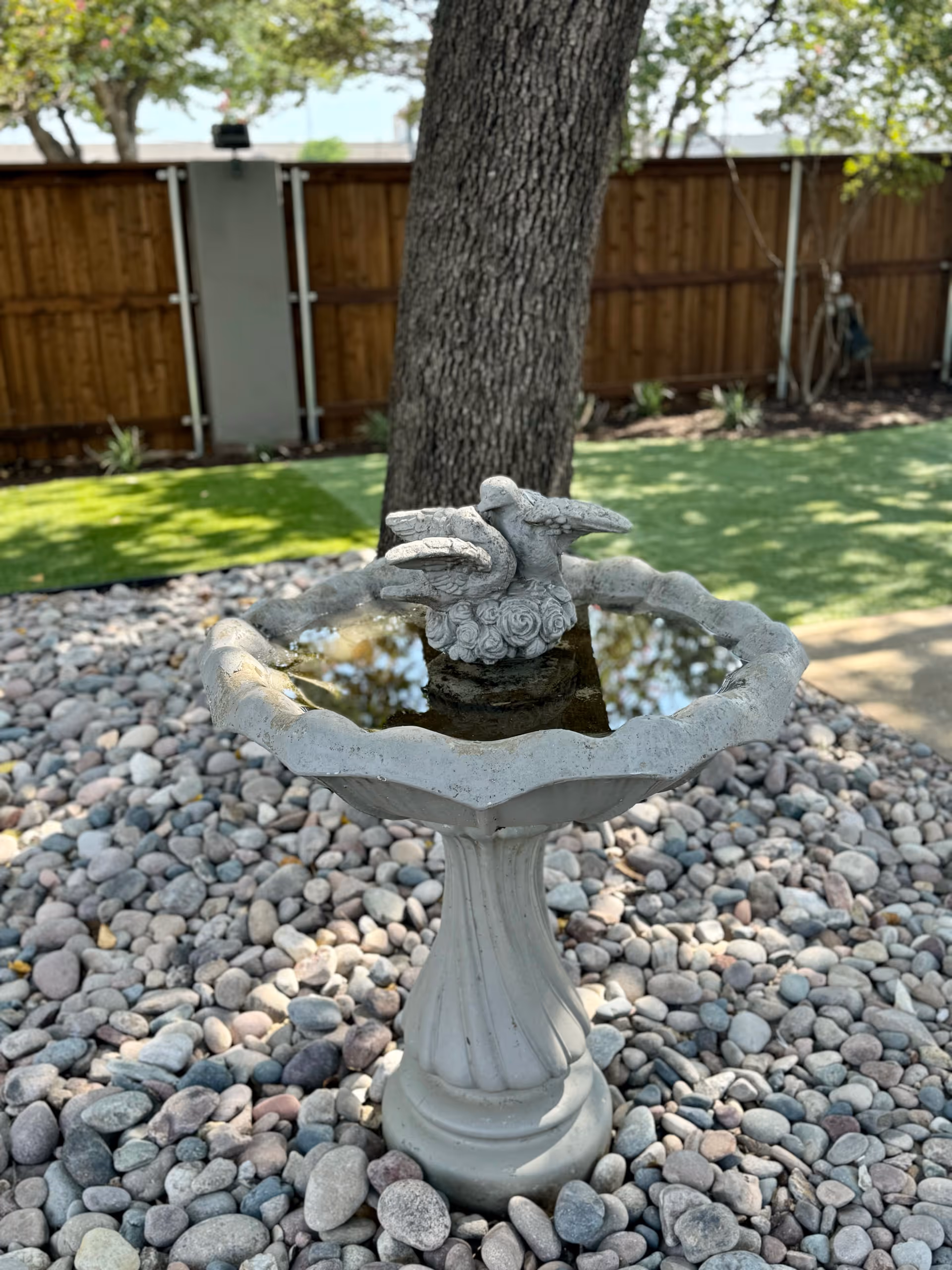 A decorative birdbath with two sculpted birds on the rim, filled with water, standing on a bed of smooth river rocks. In the background, there is a large tree, a wooden fence, and a patch of green grass.