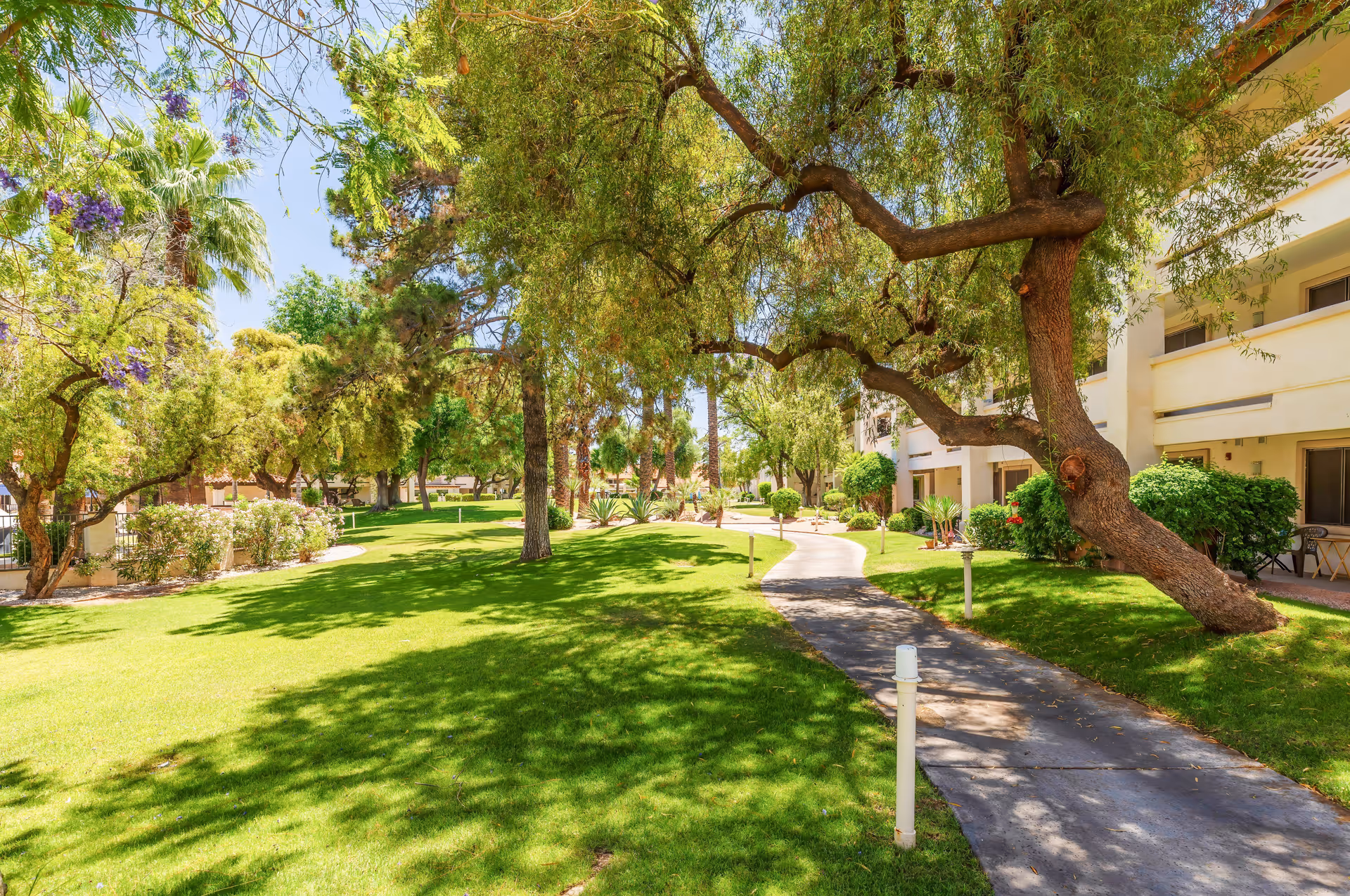 A sunny outdoor garden area at Park Terrace Senior Living by Cogir featuring a winding paved walkway, lush green grass, various trees including palm trees, and shrubs. The side of a light-colored building with balconies and patio furniture is visible on the right side.