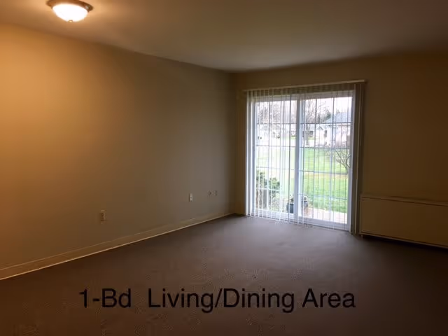 Empty living and dining area in an apartment with beige walls and carpet, a ceiling light fixture, and a sliding glass door with vertical blinds leading to an outdoor grassy area.