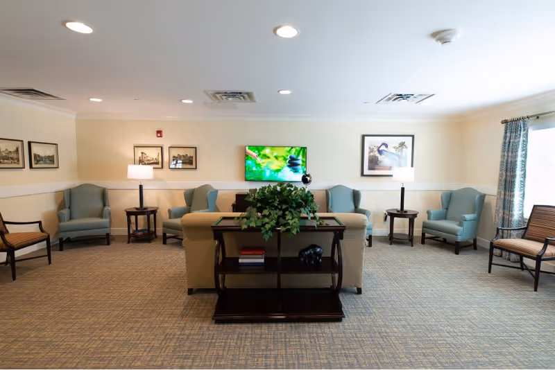 A well-lit living room with beige walls and carpeted floor. The room features a beige sofa with a dark wooden console table behind it, decorated with a green leafy plant and books. Surrounding the sofa are several light blue armchairs and wooden chairs with cushions. Two side tables with lamps flank the armchairs. A flat-screen TV mounted on the wall displays an image of stacked black stones and a green background. Framed pictures hang on the walls, and a window with blue patterned curtains allows natural light into the room.
