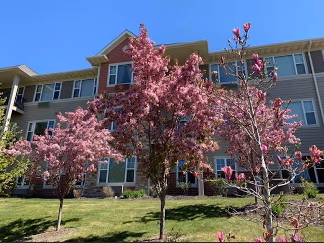 Exterior view of a multi-story senior living facility with beige siding and multiple windows, surrounded by green grass and blooming pink flowering trees under a clear blue sky.