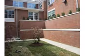 Outdoor courtyard area with a small tree planted in a circular patch of soil surrounded by grass, bordered by brick walls and windows of a building.