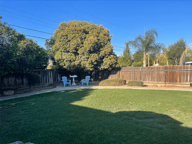 A sunny outdoor garden area with green grass, a wooden fence, and several trees including a large leafy tree and palm trees. There is a small seating area with two blue chairs and a white round table near the fence.