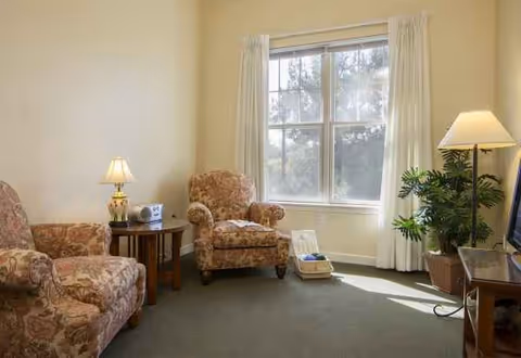 A cozy living room with floral armchairs, a side table lamp, window, plant, and TV.