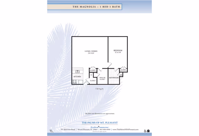 Floor plan of The Magnolia, a 1 bedroom, 1 bathroom apartment at The Palms of Mt. Pleasant, showing a living/dining area, kitchen, bedroom, bathroom, closets, and walk-in closet with approximate dimensions and total area of 750 square feet.