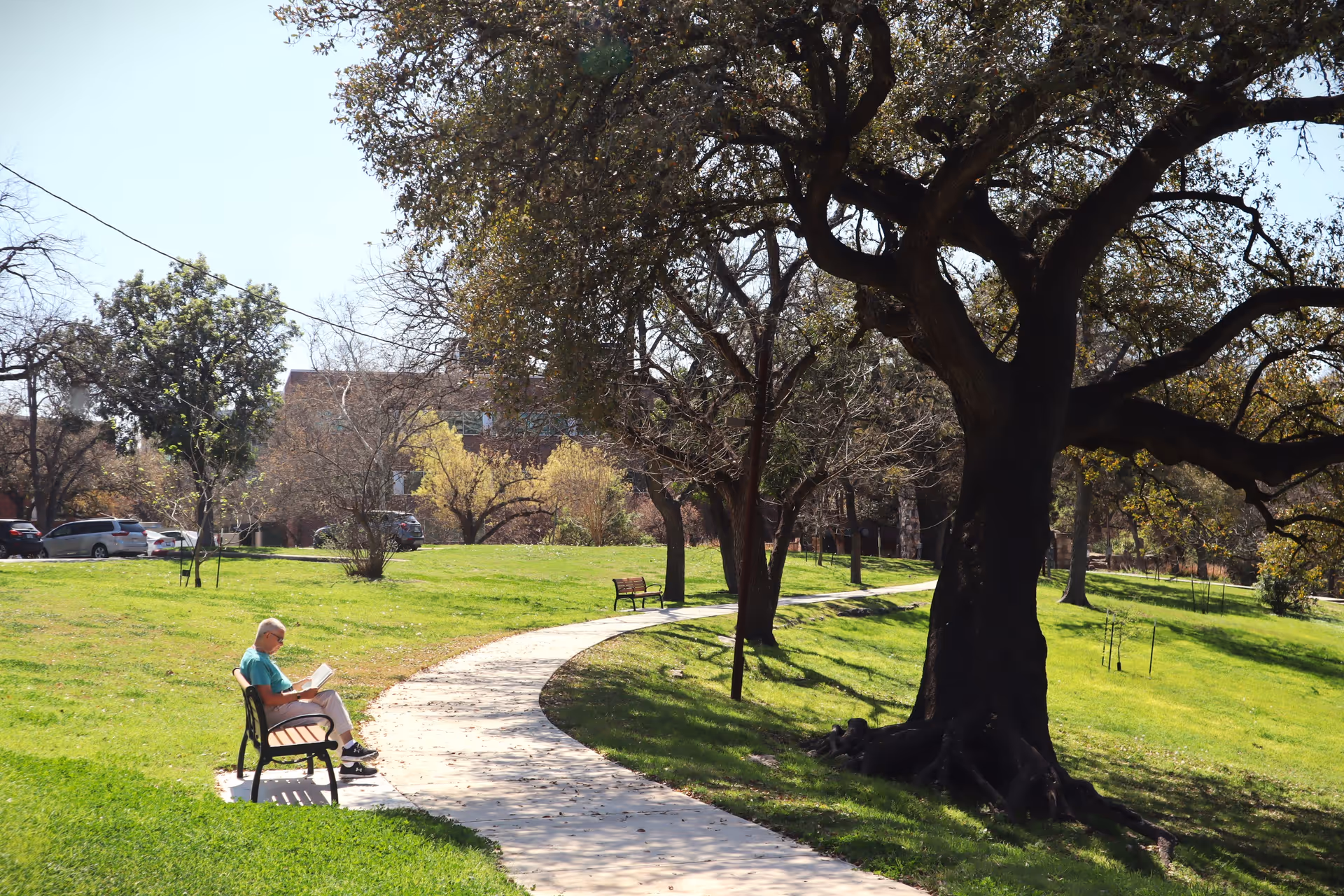 A senior man sitting on a bench reading a book in a sunny park area with a winding paved path, large trees, and green grass at The Village at Incarnate Word.