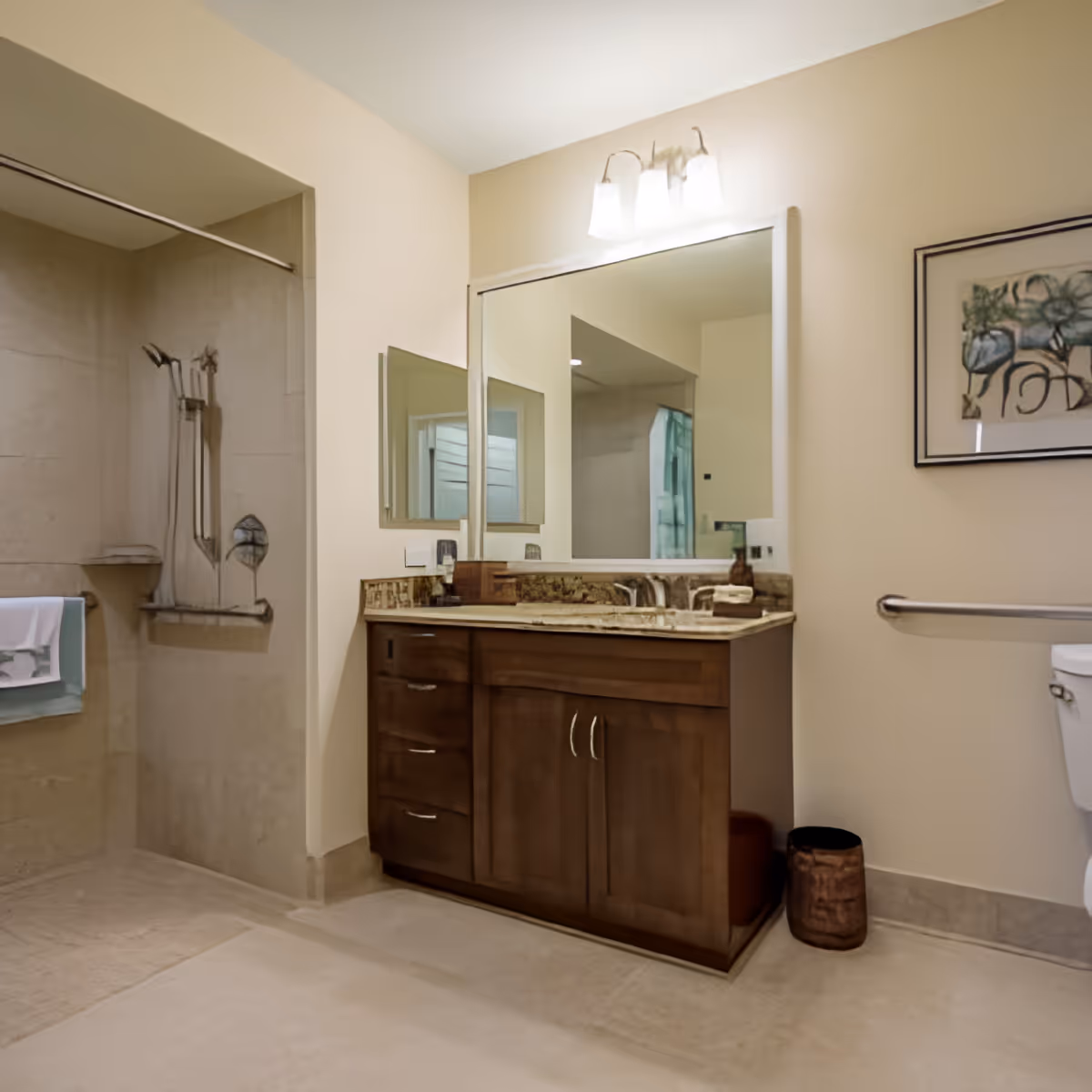 A bathroom with a walk-in shower on the left, a wooden vanity with a granite countertop and a large mirror above it in the center, and a toilet with a grab bar on the right. The walls are light-colored, and there is a framed artwork hanging above the grab bar.