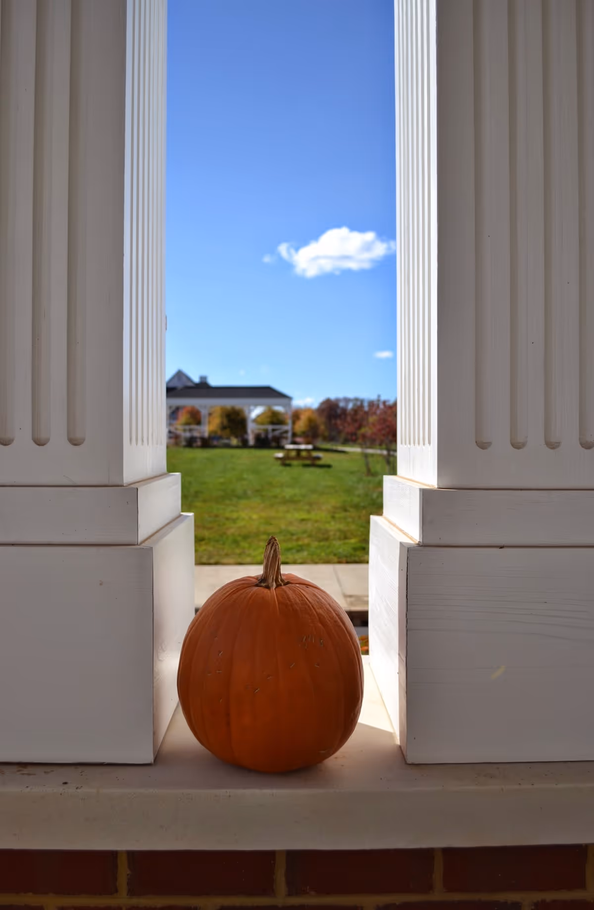 An orange pumpkin placed on a ledge between two white columns with a green lawn, picnic table, and a building in the background under a clear blue sky with a few clouds.