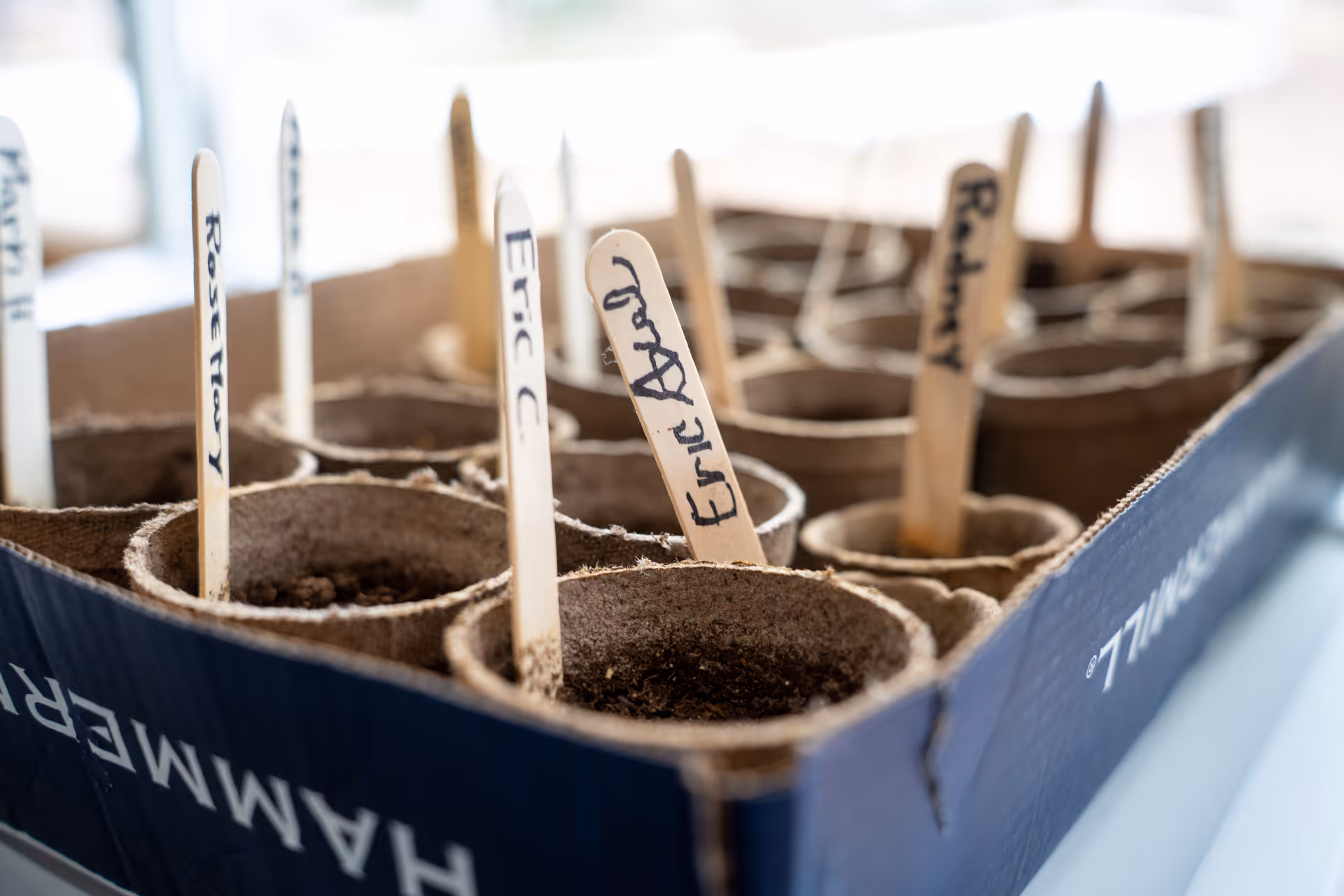 Cardboard seed starter tray with small peat pots and wooden plant markers labeled with names.