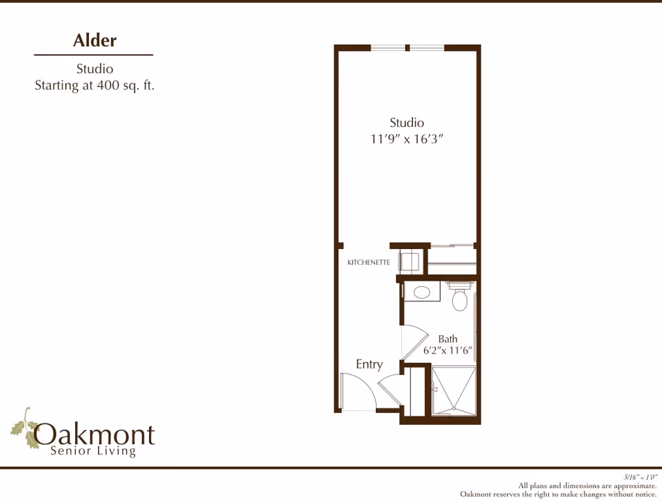 Floor plan layout of a studio apartment named Alder at Oakmont Senior Living, showing a studio area measuring 11'9" x 16'3", a kitchenette, an entry, and a bathroom measuring 6'2" x 11'6".