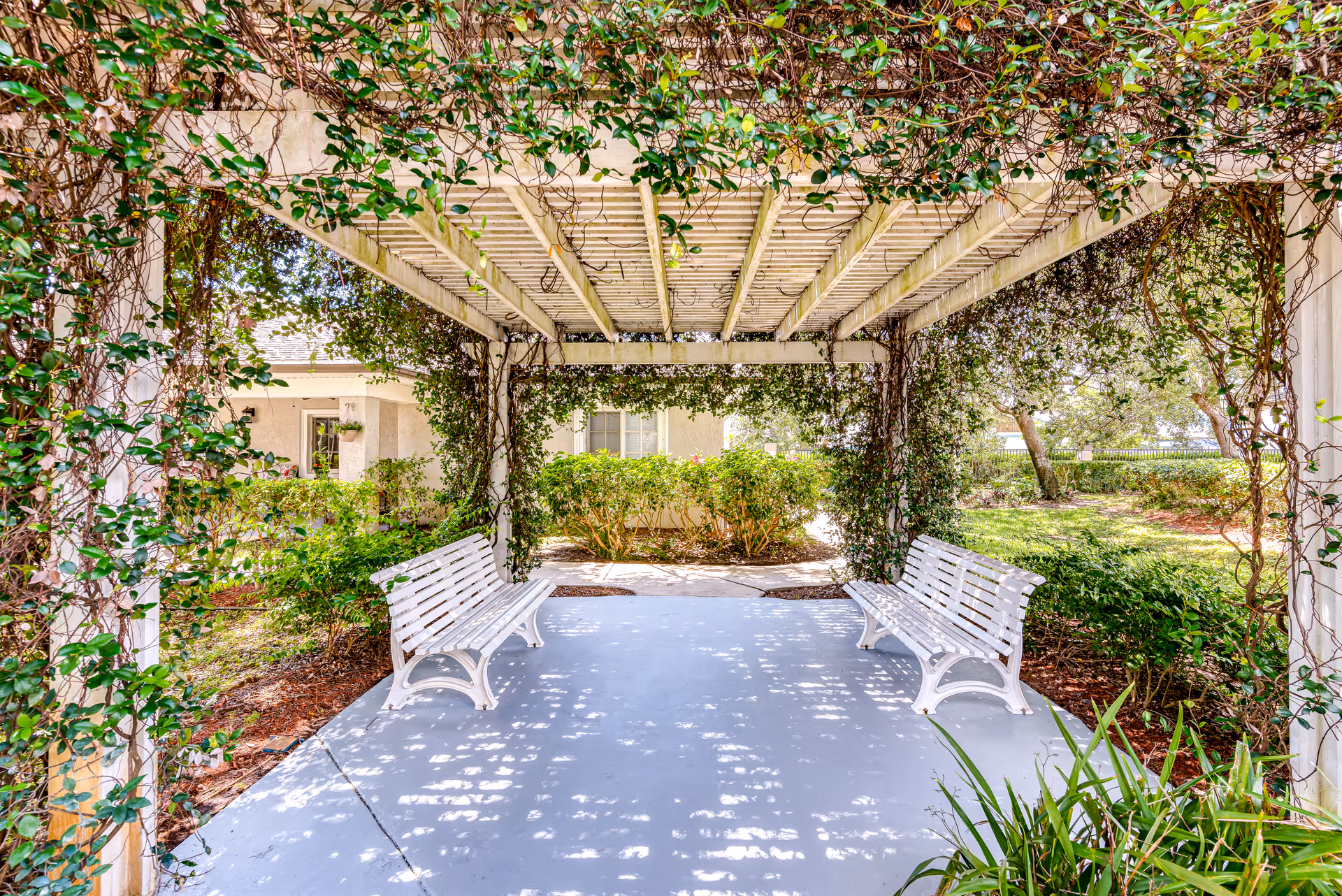 Shaded outdoor pergola covered in climbing vines with two white benches facing a garden path.
